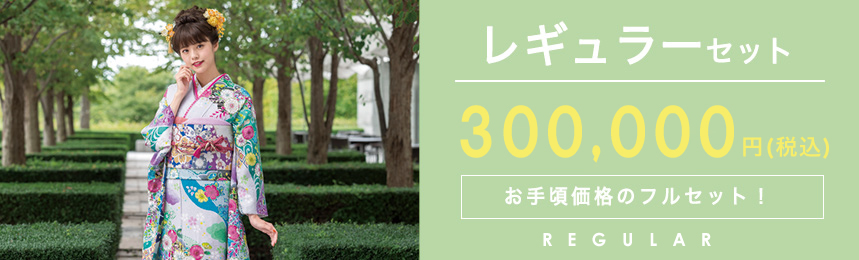 レギュラーセット 280,000円(税別) お手頃価格のフルセット!