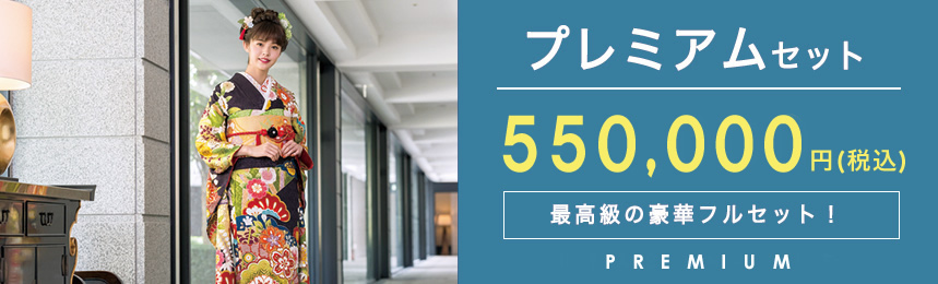 プレミアムセット 480,000円(税別) 最高級の豪華フルセット!